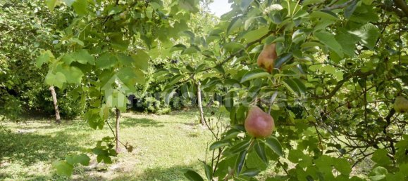 3 bedrooms Villa in San Donà di Piave, Italy No. 259311 3