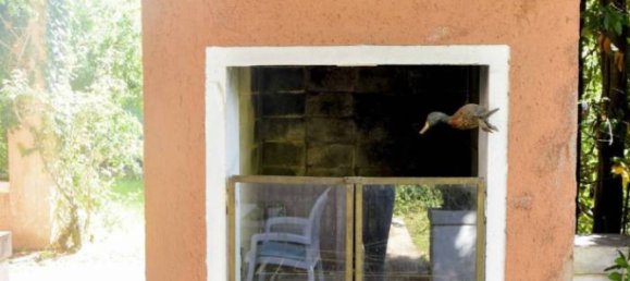 3 bedrooms Villa in San Donà di Piave, Italy No. 259311 12