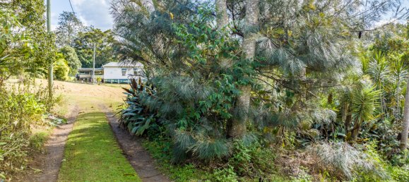 1 bedroom House in Nimbin, Australia No. 917 21