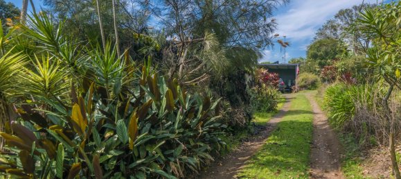 1 bedroom House in Nimbin, Australia No. 917 22