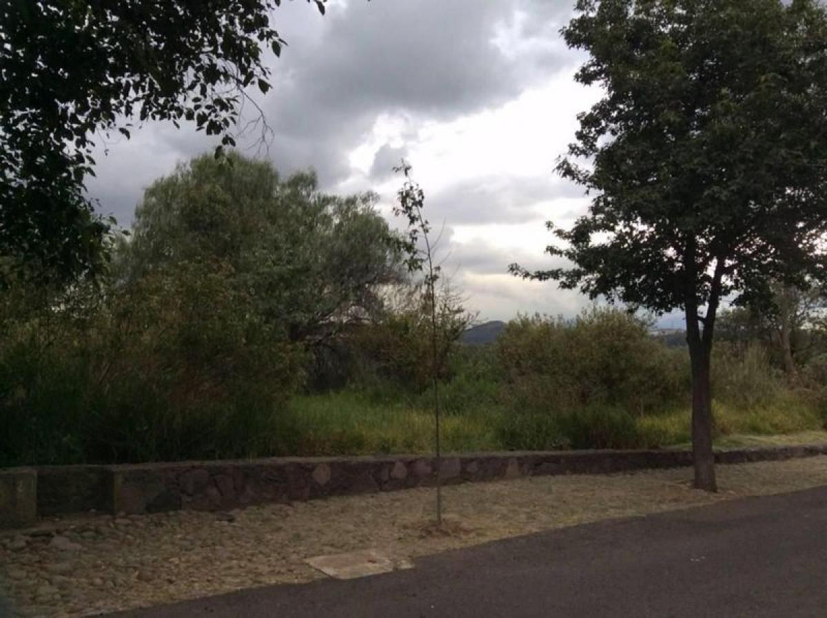  Land in Ciudad Lopez Mateos, Mexico No. 206530