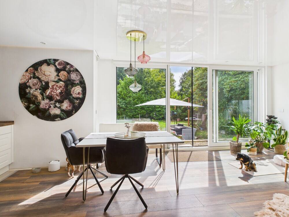 1 chambre Bungalow à Rhineland-Palatinate, Germany No. 353505