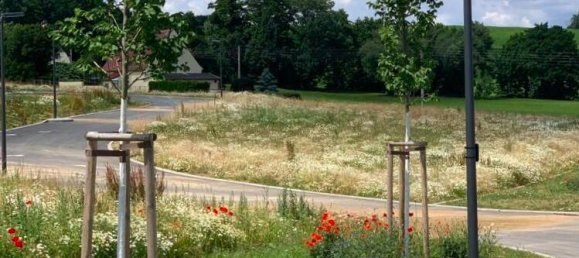 قطعة أرض في Bautzen, Germany رقم 154974 8