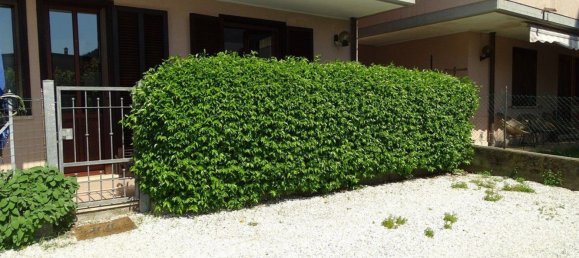 3 bedrooms Apartment in Montignoso, Italy No. 316755 23