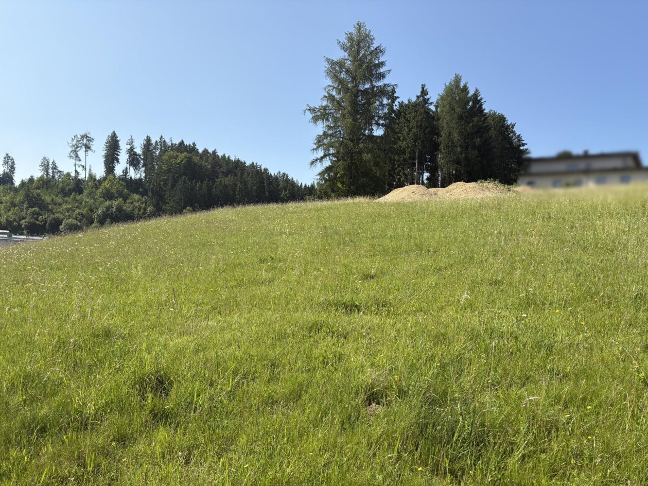  Land in Reichenthal, Austria No. 128015