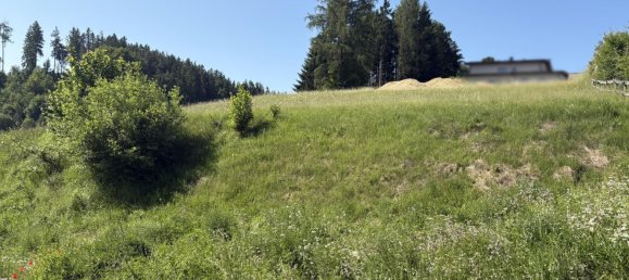  Land in Reichenthal, Austria No. 128015 2