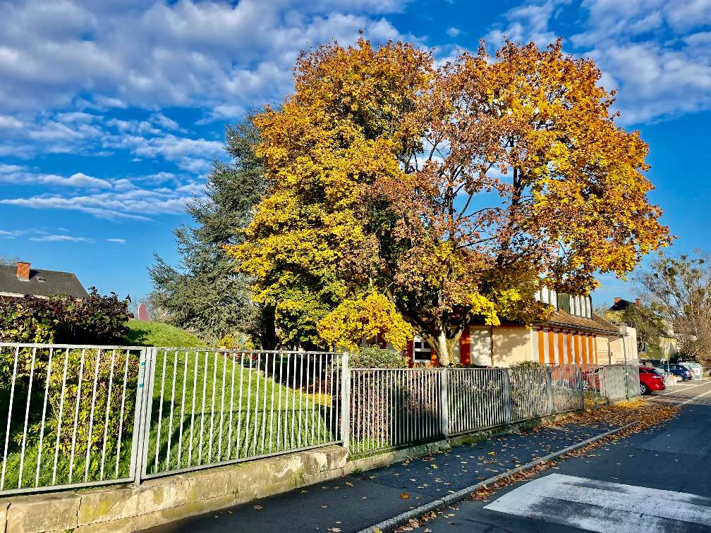  قطعة أرض في Feldbach, Austria رقم 99188