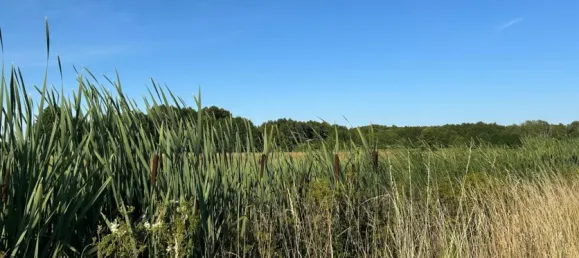 Casa de 8 divisões em Saxony, Germany N.º 279376 26