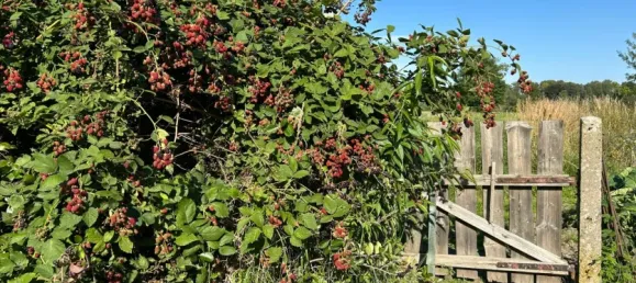 Casa de 8 divisões em Saxony, Germany N.º 279376 22