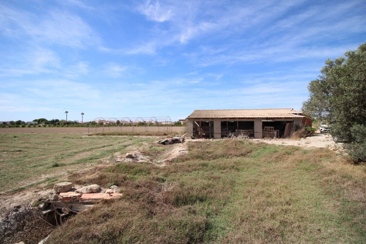  Land in Dolores, Spain No. 243183