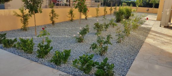 4 bedrooms Villa in Chloraka, Cyprus No. 5724 13