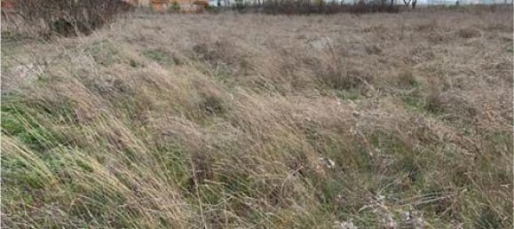 Terreno en Olmedo, Spain 5750 m² No. 84873 8