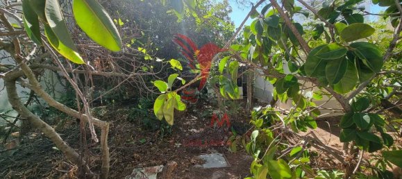 Terreno en Vieira de Leiria, Portugal 360 m² No. 72738 4