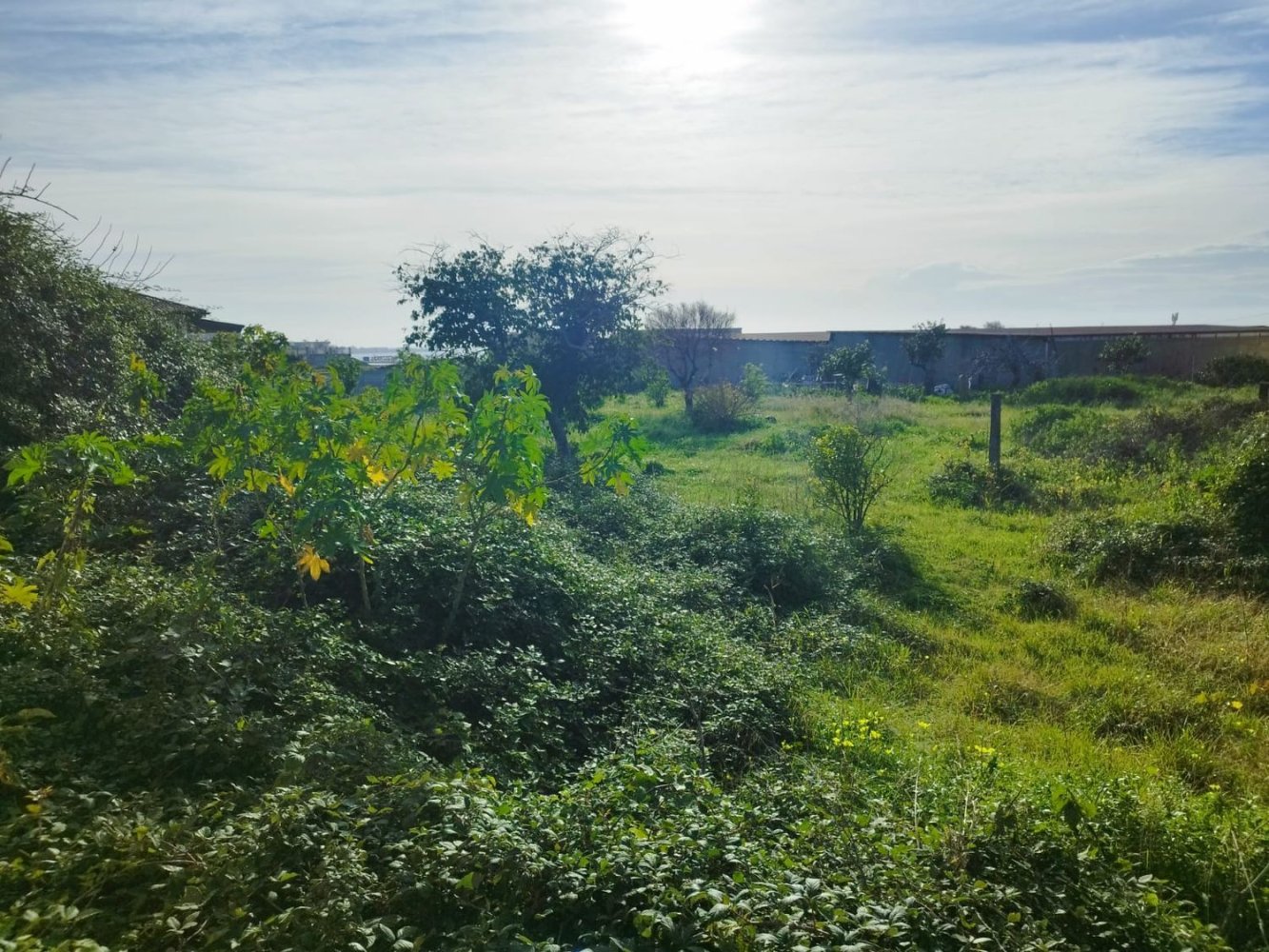  Land in Reggio Calabria, Italy No. 402234