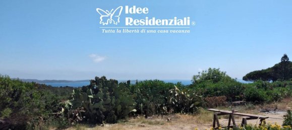 Estudio en Palau, Italy No. 338495 5