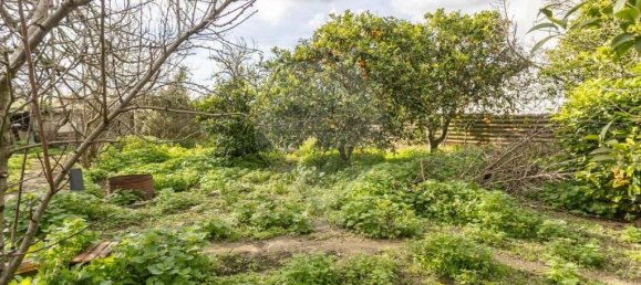 2 bedrooms Villa in Palmela, Portugal No. 172971 31