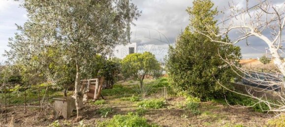 2 bedrooms Villa in Palmela, Portugal No. 172971 33