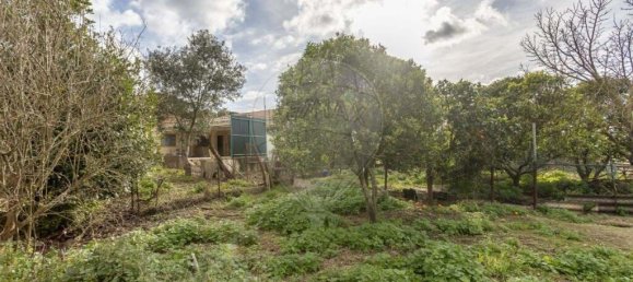 2 bedrooms Villa in Palmela, Portugal No. 172971 35