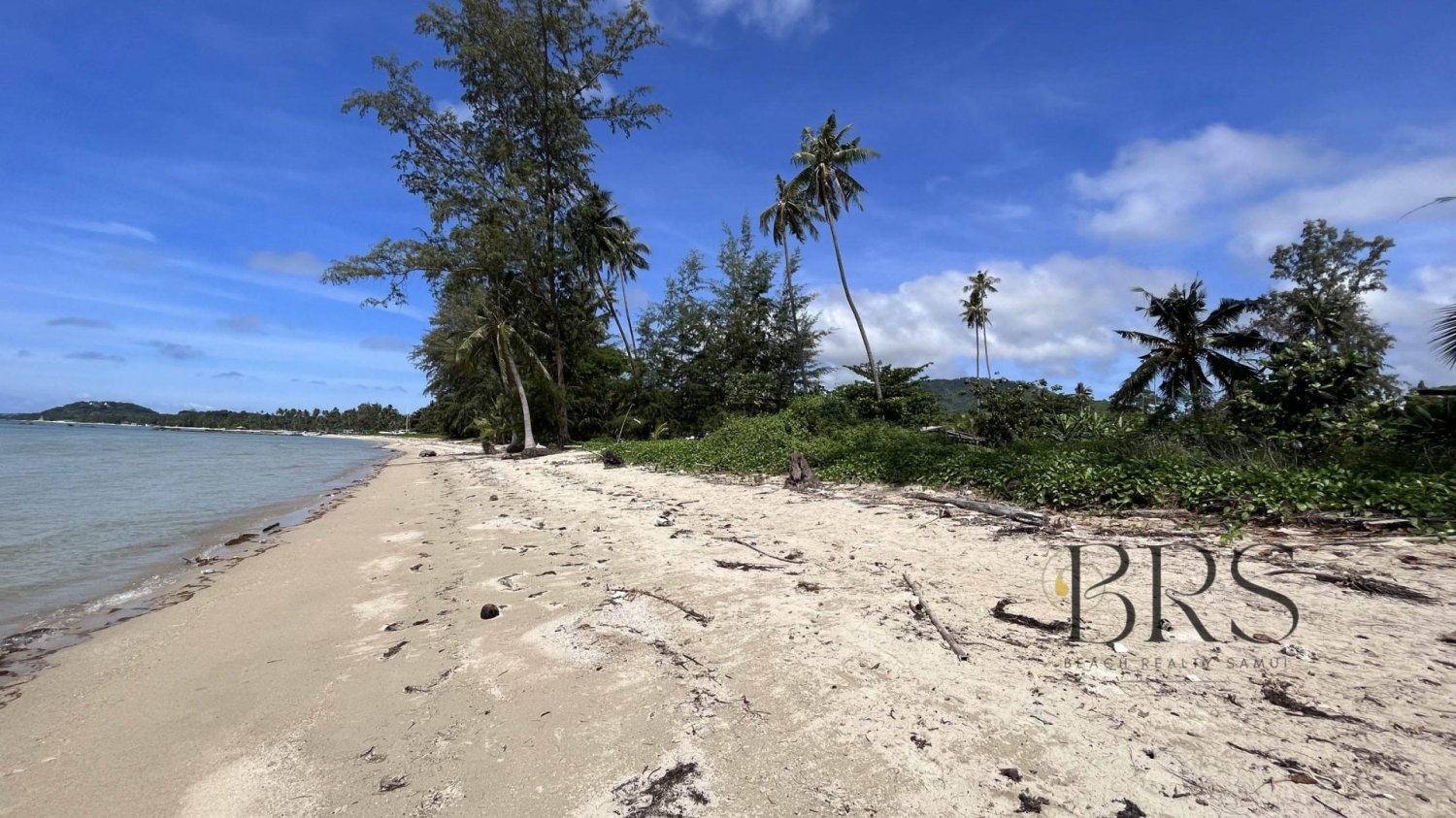  Commercial property in Ko Samui, Thailand No. 5738