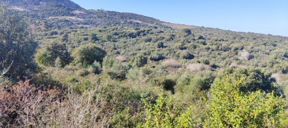 Terreno en Calvi, France No. 91034 2