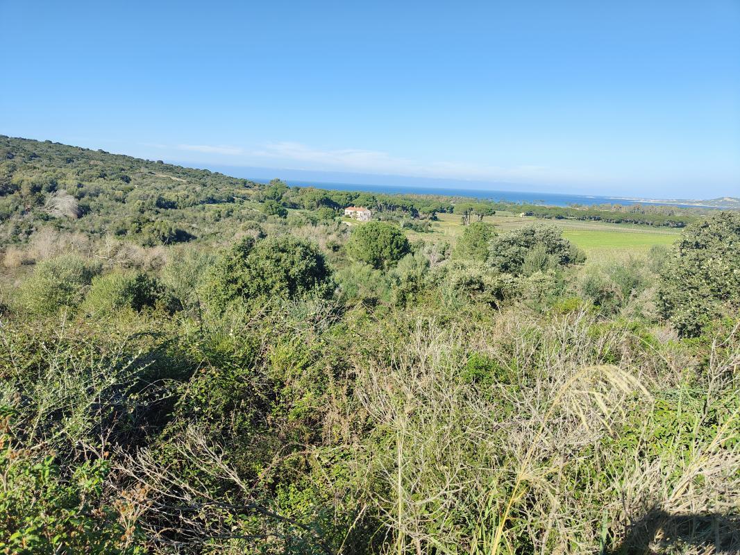 Terreno en Calvi, France No. 91034