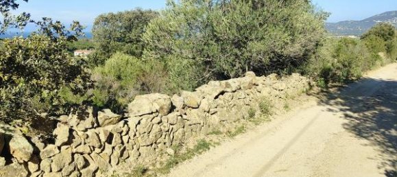 Terreno en Calvi, France No. 91034 3