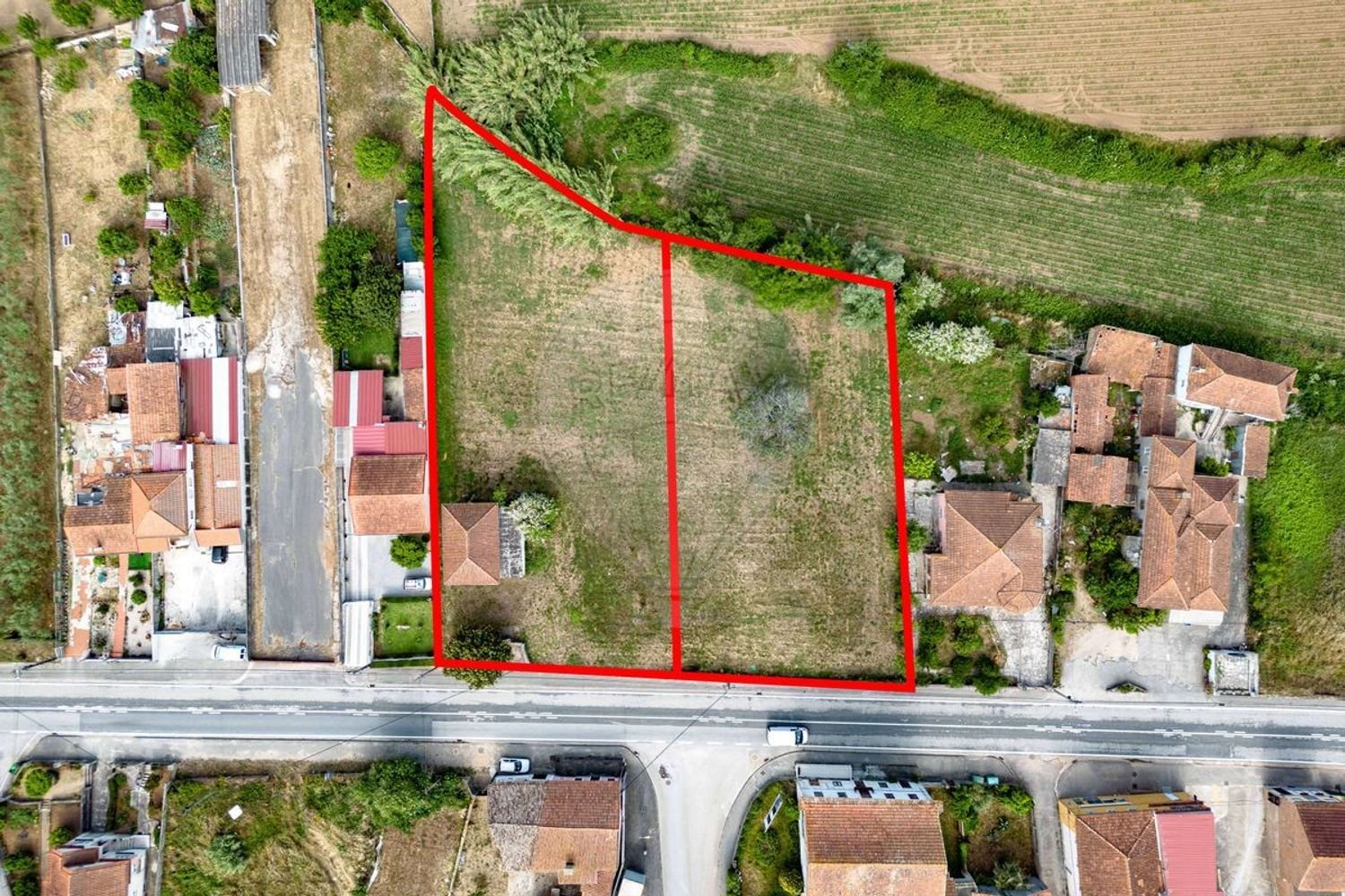 2900m² Office in Anadia, Portugal No. 235585