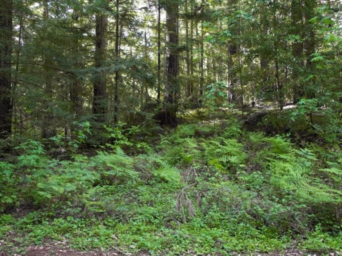 Дом с 2 спальнями в Уотсонвилл, США № 413309