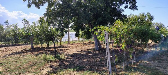 Terrain à Rocca San Giovanni, Italy No. 334878 10