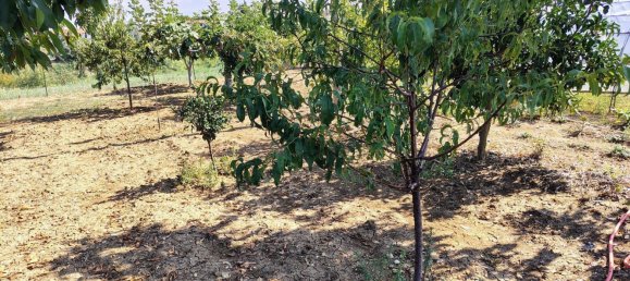 Terrain à Rocca San Giovanni, Italy No. 334878 9