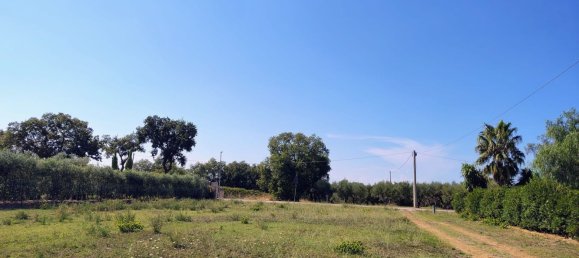 Terrain à Rocca San Giovanni, Italy No. 334878 2