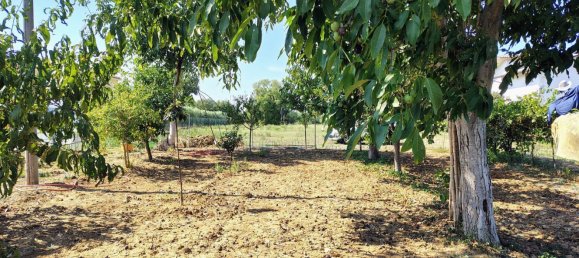 Terrain à Rocca San Giovanni, Italy No. 334878 6