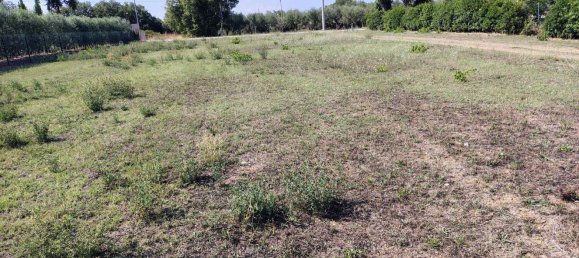 Terrain à Rocca San Giovanni, Italy No. 334878 3