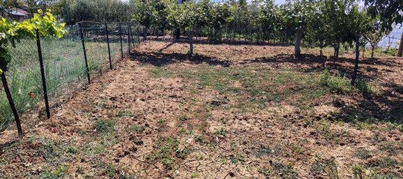 Terrain à Rocca San Giovanni, Italy No. 334878 11