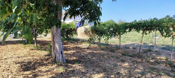 Terrain à Rocca San Giovanni, Italy No. 334878 7