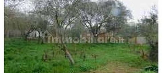 4 غرف نوم شقة في Rome, Italy رقم 338233 8