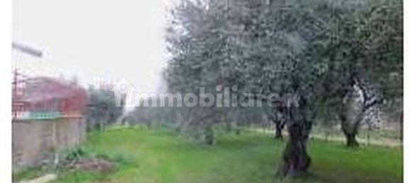 4 غرف نوم شقة في Rome, Italy رقم 338233 7