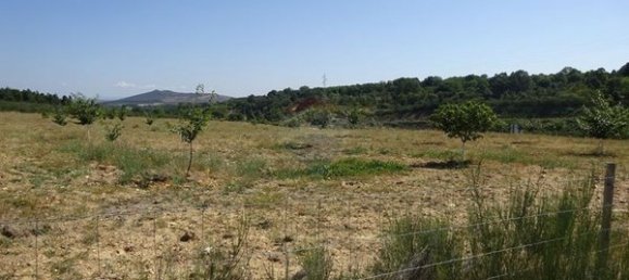 Terreno en Santa Comba de Rossas, Portugal 16300 m² No. 90478 2