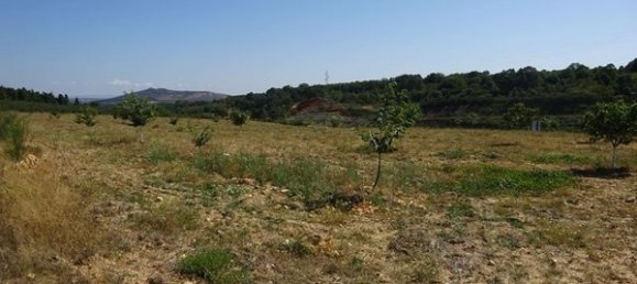 Terreno en Santa Comba de Rossas, Portugal 16300 m² No. 90478 5