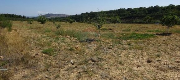 Terreno en Santa Comba de Rossas, Portugal 16300 m² No. 90478 9