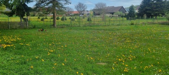 3 rooms House in Kemeten, Austria No. 224532 2