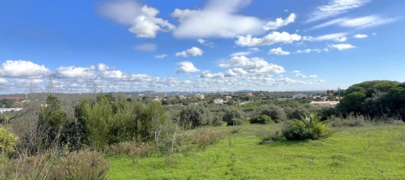 3 bedrooms House in Ferreiras, Portugal No. 105130 9