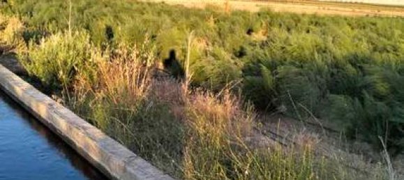 11636m² Land in Granada, Spain No. 186698 4