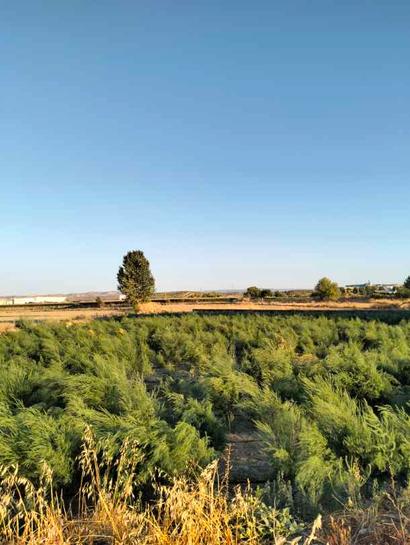 11636m² Land in Granada, Spain No. 186698