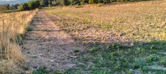 11636m² Land in Granada, Spain No. 186698 8