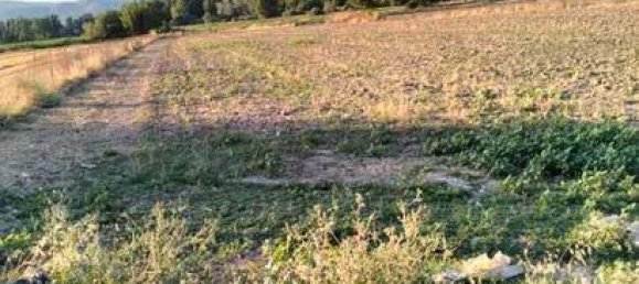 11636m² Land in Granada, Spain No. 186698 6