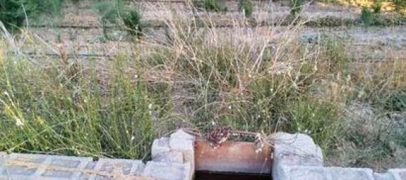 11636m² Land in Granada, Spain No. 186698 3