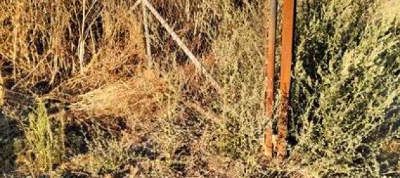 11636m² Land in Granada, Spain No. 186698 7