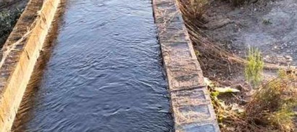 11636m² Land in Granada, Spain No. 186698 5