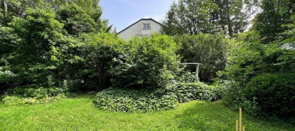 9-Zimmer Villa in Perchtoldsdorf, Austria, Nr. 159311 24